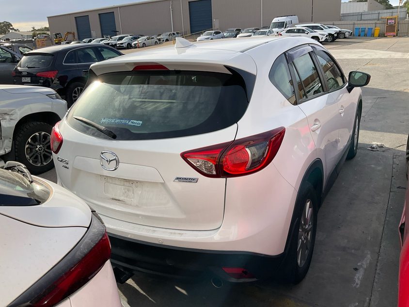 Vehicle photo
